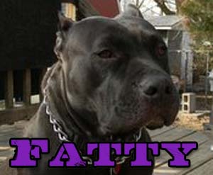 Fatty