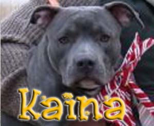 Kaina