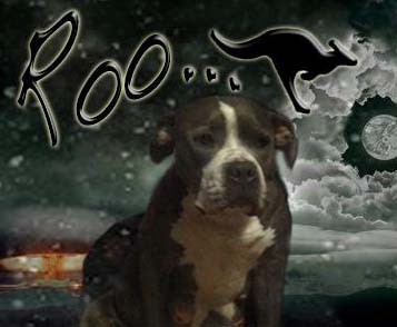 Roo