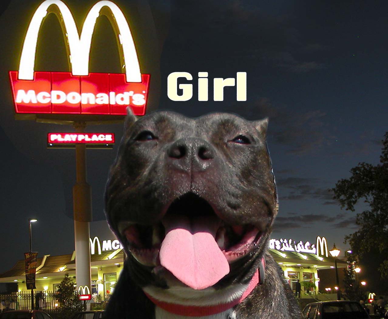 McDonalds Girl