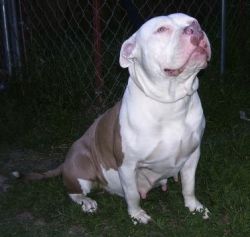 Kharma